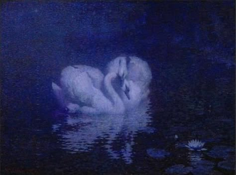 William Robinson, Swan Painting, Swan Princess, Mazzy Star, White Swan, Swan Lake, Black Swan, Swans, Wildlife Art