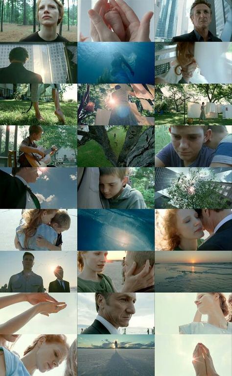 The Tree of Life. Terrence Malick Cinematography, Filming Camera, Desire Mapping, Cinema Lover, Terrence Malick, Cinematography Composition, Light Movie, Beautiful Cinematography, Photography Storytelling