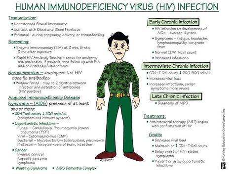 Human Immunodeficiency Virus (HIV) Infection Immune System Nursing, Concept Map Nursing, Nursing Cheat, Med Surg Nursing, Nurse School, Nursing Study Guide, Nursing Mnemonics, Nursing Student Tips, Family Nurse Practitioner