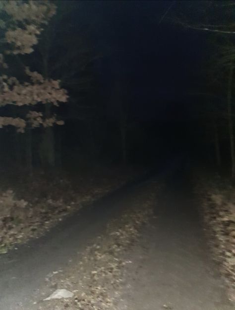 Path, dark, night, sweden, november, forest. Bones In The Forest, Bones In Forest, Forest Night Aesthetic, Lost In Forest, Creepypasta Aesthetic, Woods At Night, Forest Horror, Creepy Forest, Rock Pathway