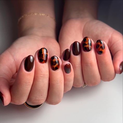 So many fun fall sets!!🍂🍁🤎 Fall Fun, Nails, Quick Saves