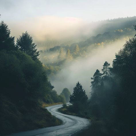 Misty Mountain Road: A winding road disappears into the misty forest under the soft light of the morning. #mist #mountains #road #forest #morning #aiart #aiphoto #stockcake ⬇️ Download and 📝 Prompt 👉 https://ayr.app/l/yuPG Forest Reference, Colour Collage, Forest Morning, Mountain Path, Misty Landscape, Forest Core, Misty Mountains, Misty Mountain, Morning Mist