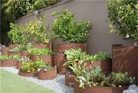 Vegetable Beds, Cottage Patio, Raised Vegetable Gardens, Vegetable Beds Raised, Small Vegetable Gardens, Waterwise Garden, Building A Raised Garden, Youth Hostel, Backyard Landscape