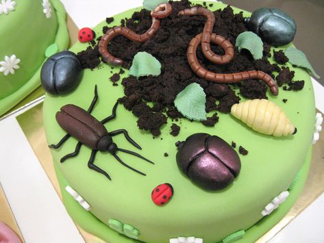 Bug Birthday Cakes, Bug Cake, Woodland Cake, Interesting Food, Cake Images, Cute Desserts, Pretty Cakes, Cute Cakes, Pretty Food