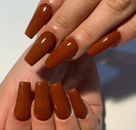 Brown Acrylic Nails, Bears Nails, Gorgeous Nails, Nail Tech, Acrylic Nails, Nail Designs, Nails, Color