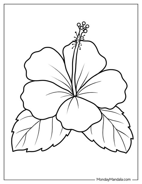 Printable Sunflower Coloring Page, Printable Mexican Flowers, Images To Color Free Printable, Cute Drawing Ideas Easy Flowers, Easy Coloring Drawings, Hawaiian Flower Coloring Pages, Traceable Flower Drawings, Outline Pictures For Colouring, Drawings To Colour In