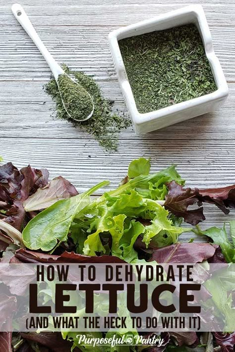 How To Preserve Lettuce From Garden, How To Preserve Lettuce, Preserve Lettuce, Dehydrate Spinach, Dehydrating Vegetables, Pantry Mixes, Dehydrating Recipes, Pantry Stock, Dehydrating Food Storage