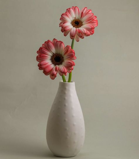 Flowers In A Vase Reference, Flower In Vase Reference, Single Flowers In Vases, Small Vases With Flowers Simple, Single Flower Aesthetic, Aesthetic Vase Of Flowers, Single Flower In Vase, Floreros Aesthetic, Flowers In Vase Aesthetic