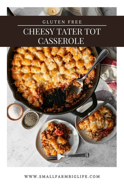 Gluten Free Tater Tot Casserole, Gluten Free Ground Beef Recipes, Cheesy Tater Tot Casserole, Cheesy Tater Tots, Gluten Free Hamburger, Gluten Free Casserole, Gluten Free Buns, Tot Casserole, Tater Tot Casserole