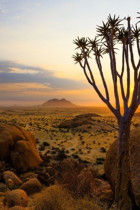 Savana Landscape, Africa Landscape, Kalahari Desert, Africa Photography, Namib Desert, Mountain Hike, Africa Do Sul, Dream Travel Destinations, Africa Travel