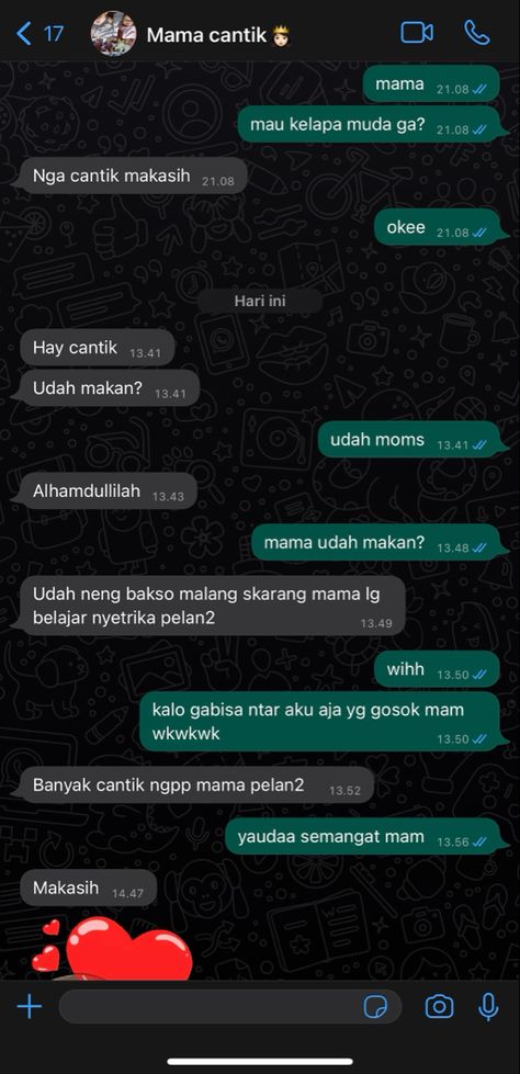 Chat Sama Mama, Chat Mama, Chat Wallpaper Whatsapp, Funny Cute Cats, Wallpaper Iphone, Ios, Drama, Iphone, Funny