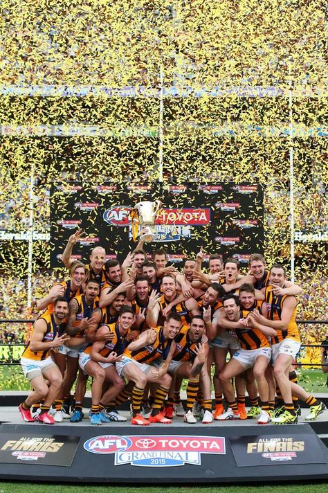 2015 3-peat Hawthorn Football Club, Hawthorn Hawks, Best Football Team, Best Club, Pro Cycling, World Of Sports, Hawks, Sport Event, Football Team