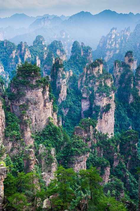 High Tianzi Mountains, Apps Facebook, Avatar Movie, Tarzan, Oh The Places Youll Go, Places Around The World, Amazing Nature, Vacation Spots, Geology