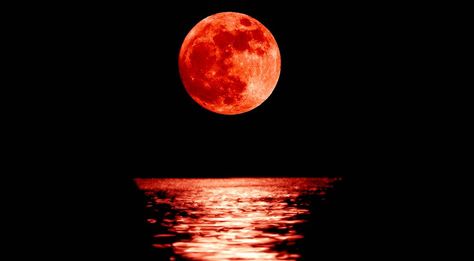 Full red moon with reflection closeup showing the details of the lunar surface. As seen from Varna, Bulgaria. Picture: Stanimir G.Stoev Moon Pictures, Moon Painting, Moon Rise, Red Moon, Super Moon, Lunar Eclipse, Blood Moon, Beautiful Moon, Harvest Moon