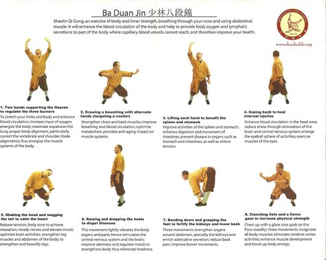 8 Brocades, Ba Duan Jin Tai Chi Moves, Chi Gong, Qigong Exercises, Tai Chi Exercise, Tai Chi Qigong, Shaolin Kung Fu, Chi Kung, Tai Chi Chuan, Qi Gong