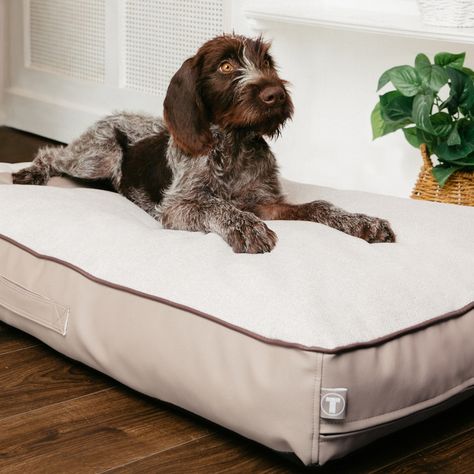 Dog Mattress, Luxury Dog Bed, Mattress Dog Bed, Vegan Dog, Clean Technology, Orthopedic Dog Bed, Selling Design, Luxury Dog, Dog Beds