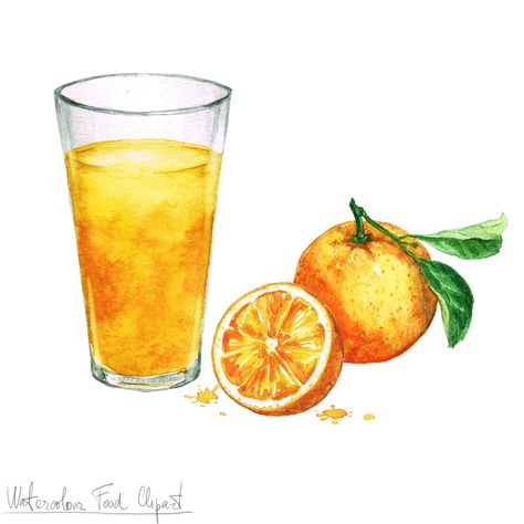 Orange juice Kitchen Art Ideas, Juice Illustration, Veggie Display, Illustration Kitchen, Fruit Juice Recipes, Recipe Drawing, Food Drawings, Food Clipart, Watercolor Food