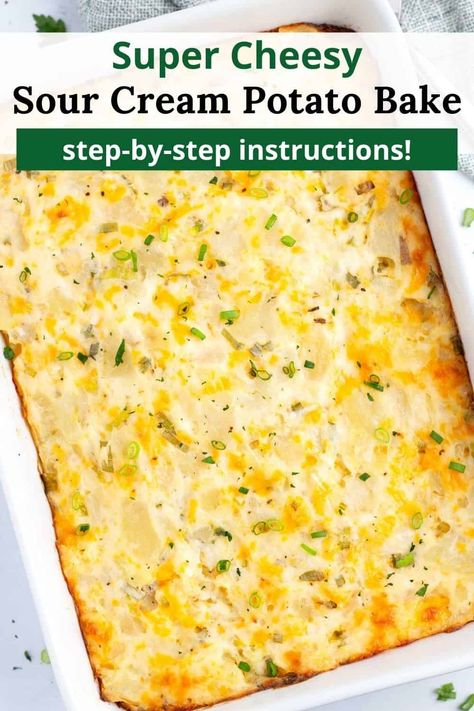 This Sour Cream Potato Bake Recipe is the ultimate comfort food, perfect for potlucks and Sunday dinners. Made with russet potatoes, creamy sour cream, sharp cheddar cheese, and fresh green onions, it's a side dish that'll be gone in no time. Plus, you can make it ahead and bake when ready! Potato Bake With Sour Cream, Cheesy Sour Cream Potatoes, Sour Cream Potatoes Casserole, Sour Cream Potatoes Bake, Potatoes And Sour Cream Recipe, Sour Cream And Potato Recipes, Sour Cream Potato Bake, Potato And Sour Cream Recipes, Potato Sour Cream Recipes