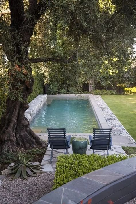 small backyard swimming pool with a stone surround under an old tree #Outdoor #Pool #Decor #Ideas #PoolDecorIdeas Kleiner Pool Design, Backyard Pool Design, Small Swimming Pools, Small Pool Design, Natural Swimming Pool, Small Pools, Pools Backyard, Backyard Pools, Backyard Pool Designs