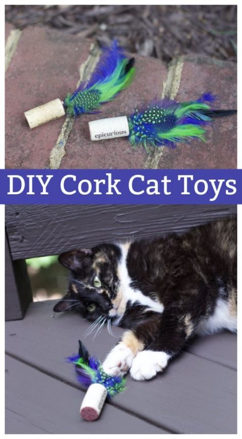 Cork Cat, Katt Grejer, Kat Diy, Chat Diy, Homemade Cat Toys, Diy Pet Toys, Diy Cat Toys, Toys Ideas, Cats Diy Projects