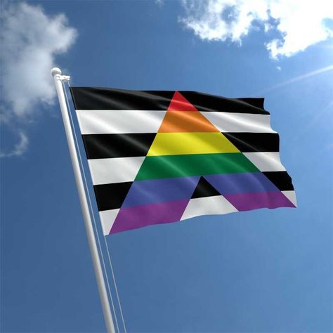 Straight Ally Flag Aesthetic, Straight Ally Aesthetic, Ally Flag, Straight Ally Flag, Gb Flag, Straight Ally, Minecraft Mobs, Lgbt Flag, Comfort Characters