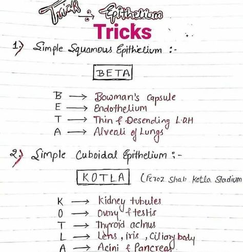 Mnemonics For Chemistry, Mnemonics For Neet, Mnemonics For Biology Neet, Neet Exam Notes Biology Tricks, Biology Tricks, Study Tricks, Medical Terminology Study, Bio Notes, Biochemistry Notes