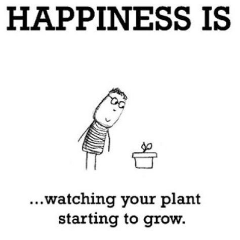 It's so easy to be happy ! #quote #urbangarden #quotesboardUGR Trees Poetry, Succulent Quotes, Gardening Memes, Plants Quotes, Happiness Project, Garden Quotes, Flower Quotes, Nature Quotes, Happy Moments