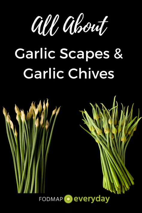 Onion Green Beans, Salsa Garden, Hardneck Garlic, Chive Flower, Garlic Scapes, Seasoning And Spice, Garlic Chives, Garden Herbs, Raw Garlic