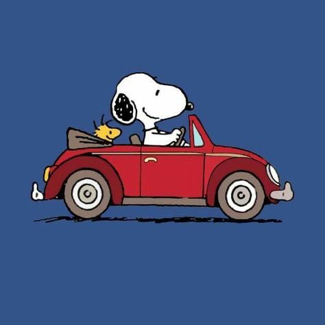 Snoopy Illustration, Snoopy Art, Snoopy Friends, Snoopy Drawing, Snoopy Cartoon, Peanuts Comic Strip, Snoopy Funny, Charles Schulz, Snoopy Images