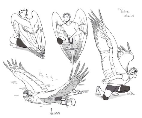 for feathers great and small : Photo Flying Poses Reference Wings, Wings Poses, Epic Soldier, Winged Human, Human Wings, Drawings Of People, Winged People, Wings Drawing, Wings Art