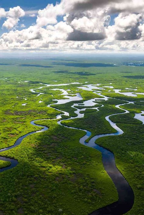 Learn about the national parks in Florida, which encompass marshes, forts, beaches, and coastal wetlands, and plan a trip to the Sunshine State soon. #southernliving #florida #thingstodoinflorida #nationalparks #vacationideas Florida National Parks, Southern Road Trips, Cypress Swamp, Biscayne National Park, Dry Tortugas National Park, Southern Travel, Mangrove Forest, Everglades National Park, Road Trip Destinations