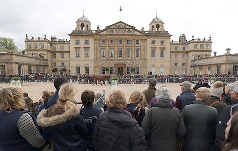 Jonelle Price claims first four-star title with Badminton victory https://trib.al/Z6QpBHZ Badminton Horse Trials, Inspo Fits, Horse Trials, Normal Girl, Desert Island, Show Jumping, Abandoned Buildings, Buy Tickets, Prince Charming