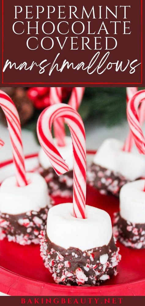 Peppermint Chocolate Covered Marshmallows, christmas treats, dessert ideas Chocolate Dipped Candy Canes, Marshmallow Dipped In Sprinkles, Candy Cane Marshmallow Pops, Marshmallow Candy Cane, Dipped Marshmallow Pops Christmas, Marshmallows Dipped In Chocolate, Chocolate Cover Marshmallow, Chocolate Dipped Holiday Treats, Dipped Marshmallows Christmas