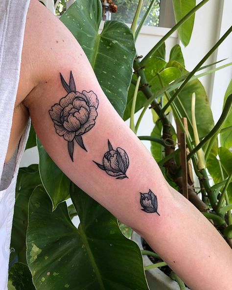 Self Growth Flower Tattoo, Flower Growth Tattoo, Stages Of Flower Blooming Tattoo, Flower Growing Through Concrete Tattoo, Hawthorne Flower Tattoo Designs, Hawthorne Flower Tattoo Color, Growth Tattoo, Stages Of Growth, Flowers In Bloom