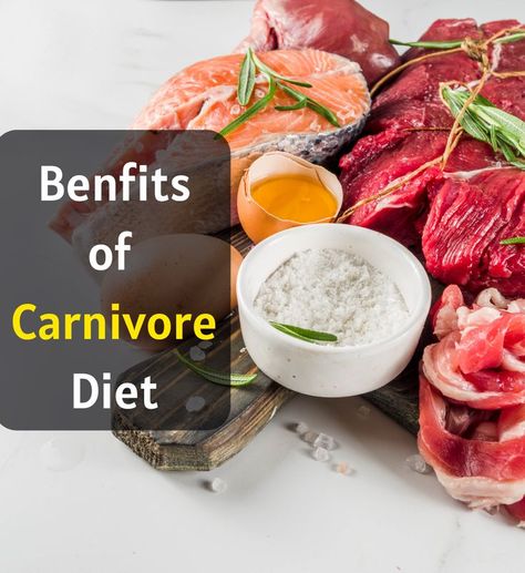 Carnivore Diet Review: Benefits, Downsides, and Sample Menu Meal Guide, The Carnivore Diet, Meat Diet, Meal Prep Clean Eating, Carnivore Diet, Carbohydrate Diet, Elimination Diet, Protein Diets, High Protein Diet