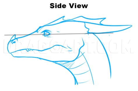 How To Draw Dragon Heads, Step by Step, Drawing Guide, by Dawn | dragoart.com Dragon Head Drawing, Draw A Dragon, Dragon Anatomy, Drawing Dragon, Dragon Base, Dragon Heads, Dragon Face, Dragon Sketch, Drawing Guide