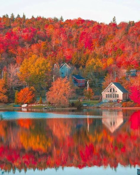 Wilmington Vermont, New England Aesthetic, Leaf Peeping, New England Fall, Nature Architecture, Cabin In The Woods, Autumn Scenery, Destination Voyage, Fall Photos