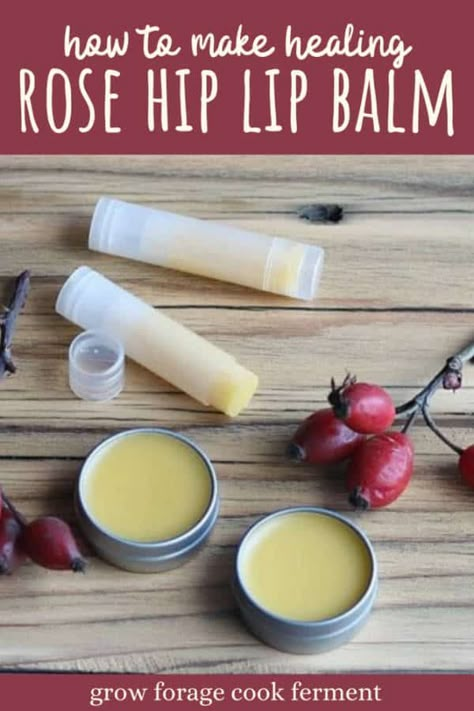 Peppermint Lip Balm Recipe, Rose Hip Seed Oil, Diy Lip Balm Recipes, Lip Balm Recipe, Peppermint Lip Balm, Balm Recipe, Rose Lip Balm, Rose Lip, Lip Balm Recipes