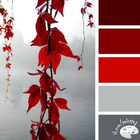 Paint Decoration, Red Colour Palette, Color Schemes Colour Palettes, Nature Color Palette, Color Palette Design, Color Harmony, Color Balance, Color Blending, Color Textures