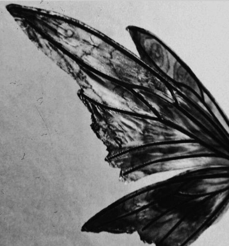 Ap Drawing, Dark Fairycore, Fairy Aesthetic, Angel Aesthetic, Falling Stars, Dark Fairy, Black And White Aesthetic, Fairy Wings, Aesthetic Colors