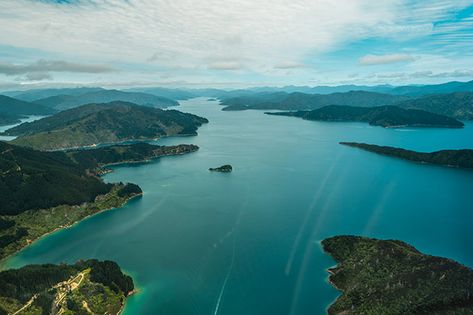 5 ways to soak up the Marlborough Sounds in a day Maori Legends, Captain James Cook, Marlborough Sounds, Giant Octopus, James Cook, Queen Charlotte, On A Boat, Wildlife Sanctuary, Beach Combing