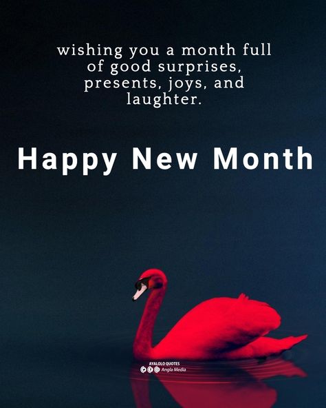 September New Month Wishes, Good Morning Qoute, Happy New Month Wishes, Happy New Month December, Month Inspiration, Happy New Month Messages, Happy New Month Quotes, New Month Wishes, Romantic Good Night Messages