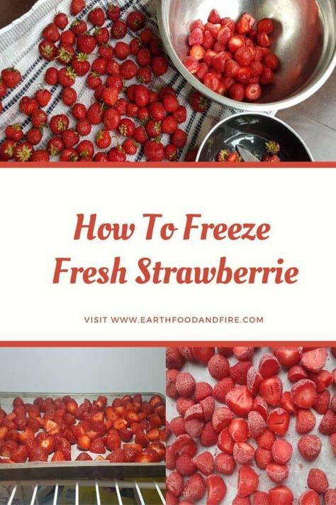 Learn how to freeze fresh strawberries, and preserve a little taste of summer for year-round use. #preserving #strawberries #freezing #mealprep How To Preserve Strawberries, Preserving Strawberries, Low Lectin Foods, Preserving Cucumbers, Preserve Strawberries, Preserving Zucchini, Skills Everyone Should Know, Freeze Strawberries, Strawberry Watermelon Smoothie