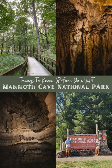 Mammoth Cave Kentucky, Travel Manifestation, National Parks In The Us, Cool Places To Travel, Family Spring Break, Mammoth Cave National Park, Cave City, Cave Entrance, Kentucky Travel