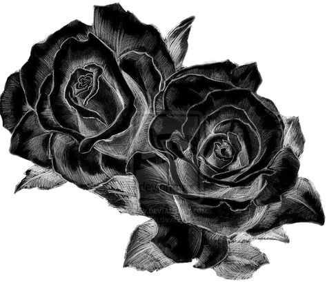 Black Double-Rose 863x745 Clear - can only use in SMALL image Double Rose Tattoo, Lower Hip Tattoos, Best Rose Tattoo, Black And White Rose Tattoo, Rose Tattoo Ideas, White Rose Tattoos, Rose Tattoo Sleeve, Double Rose, Best Rose