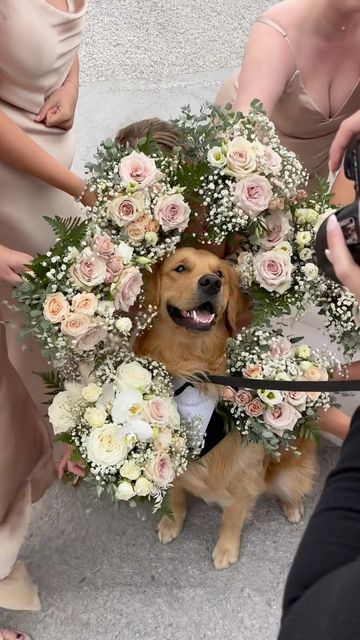 World Wide Weddings on Instagram: "the flower trend but BETTER 😍 🎥 @kaileemariephotography" Bridemaid Flowers, Dog Wedding Photos, Wedding Photography Shot List, Wedding Photo Inspo, Wedding Photo List, Photo Bouquet, Photos With Dog, Bride Groom Photos, Groom Photo