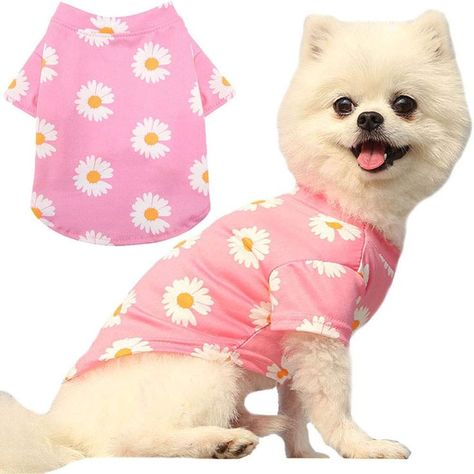 Daisy Dog Clothes Puppy Shirts Cute Dog Apparel Accessories for Girl Boy Summer Sweatshirts Breathable Pet T-Shirt Cats Teddy Chihuahua Yorkies Bulldog Small Medium Large Pet Clothing Supplies Pink Toy Bulldog, Chihuahua Clothes, Daisy Dog, Japanese Spitz, Summer Sweatshirt, Shirts Cute, Puppy Supplies, Dog Apparel, Pet Fashion