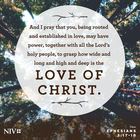 Ephesians 3 16 17, Ephesians 3 16-20, Ephesians 3:16-19, Ephesians 3:17-19, Ephesians 3:19, Ephesians 3:16, Gods Spirit, Rooted And Established In Love, Christmas Scriptures