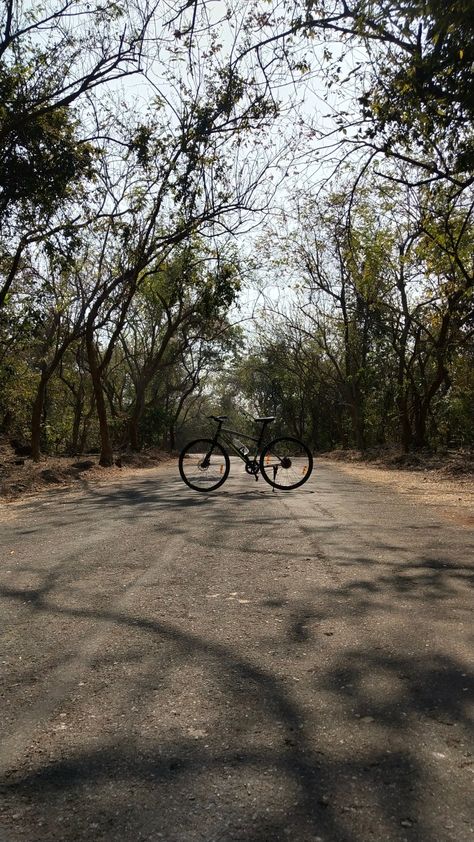 Cycling in Borivali National Park, Mumbai. Sanjay Gandhi National Park, Urban Development, Places In The World, Driving Pictures, City Break, Summer Photos, Metropolis, A Blessing, Mumbai