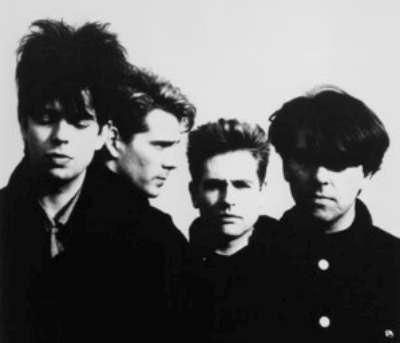 Liverpool Post Punk Exhibition Julian Cope, Garage Punk, Echo And The Bunnymen, Goth Bands, Punk Rock Bands, Artist Biography, Punk Music, The New Wave, 80s Music